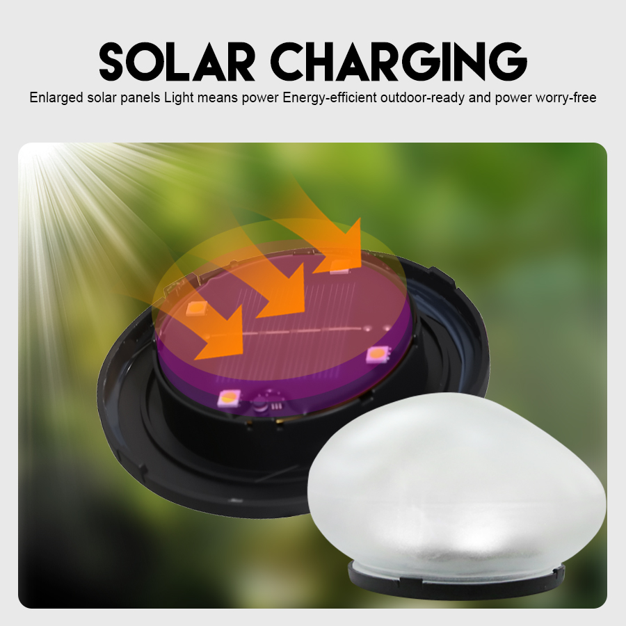 Decoratieve zonnelamp, matte g - Outdoor Lighting On House recensie en prijs