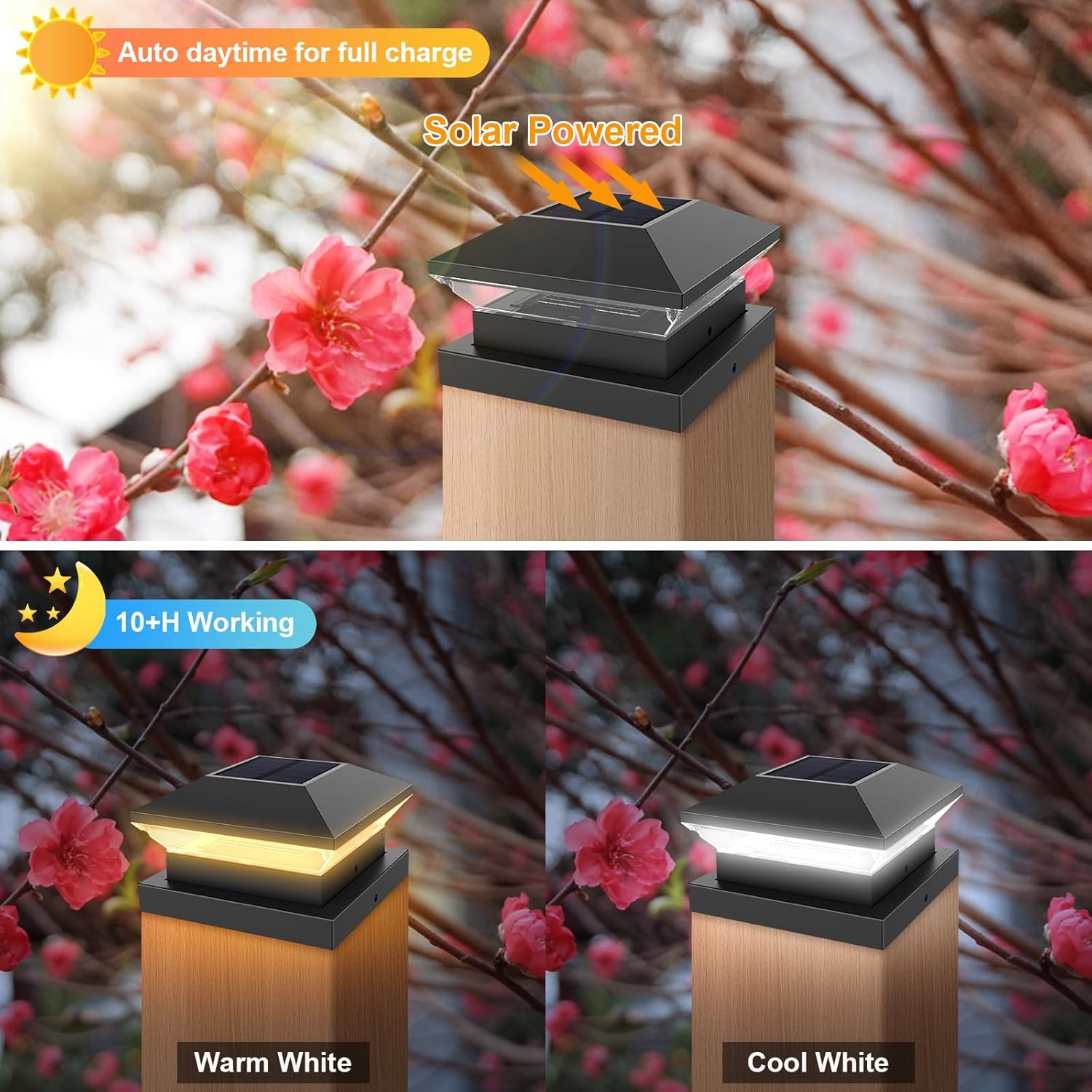 Solar Post Light Post Caps Sol - Post Cap Light recensie en prijs